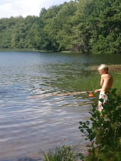 Stuga I Naturskoena Mittskane Höör Екстериор снимка
